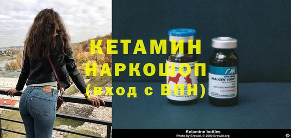 трава Абаза