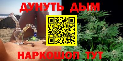 индика Рузаевка