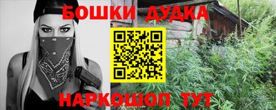 индика Рузаевка