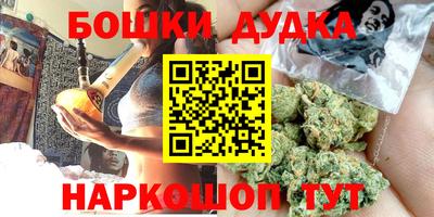 индика Рузаевка