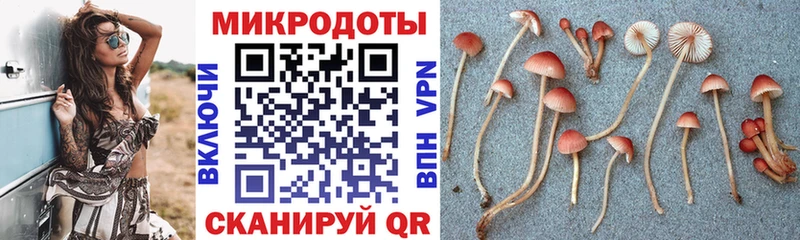 Галлюциногенные грибы GOLDEN TEACHER Шатура