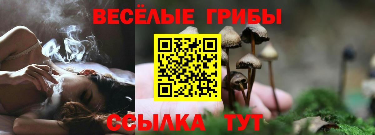 Галлюциногенные грибы MAGIC MUSHROOMS  Вход с VPN  Шатура  Галлюциногенные грибы прущие грибы 